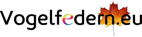 Vogelfedern.eu Vogelfedern.eu