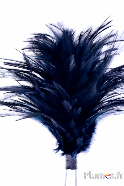 Hahnenschlappen,schwarz,grünschillernd,25-30cm,Karneval,Hahnenschwanz Federn